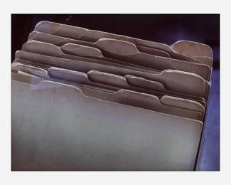 157 . Tim Davis "Griselda's Files" C-Print (2001)