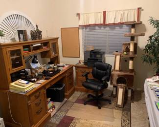 Cat Tree and Printer