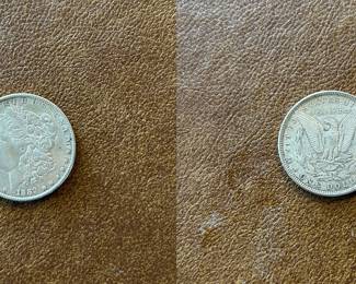 1889-P Morgan silver dollar (item 22)