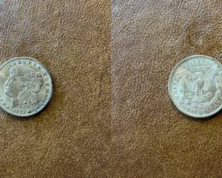 1921-P Morgan silver dollar (item 05)