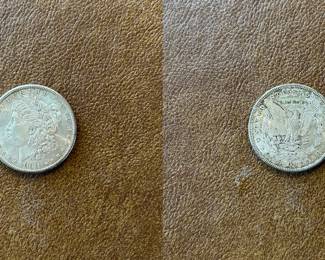 1881-S Morgan silver dollar (item 17)