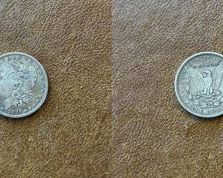 1881-P Morgan silver dollar (item 18)