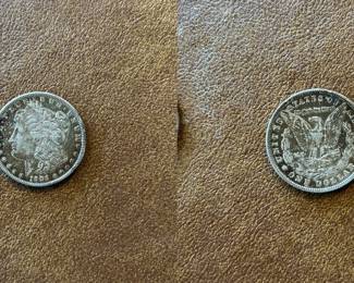 1904-P Morgan silver dollar (item 03)