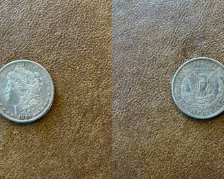 1880-S Morgan silver dollar (item 14)