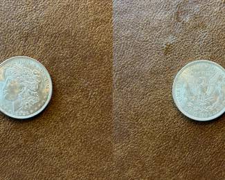 1921-P Morgan silver dollar (item 06)