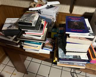 Books on on the Vietnam war or books by soldiers who fought in the Vietnam war and other scholarly books on the Vietnam war era