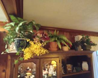 Fake plants. (save water!)