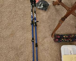Walking Sticks