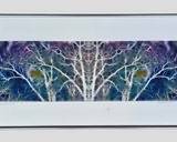 David Ernst Pencil Signed Tree Series #41 Print Framed
