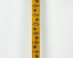 The Original Snow Stick: Measure Winter's Wonder, From 2 to 36 Inches
