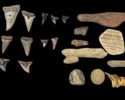 Beautiful Vintage Shark Teeth and Antique Native American Fossils
