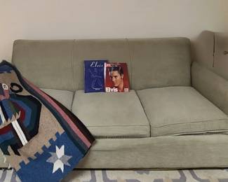 Sleeper sofa
Elvis Books 