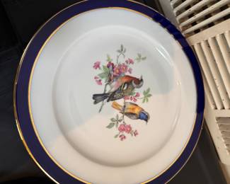 Bird Plates