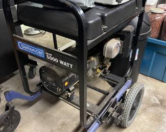 Companion 5000 Watt