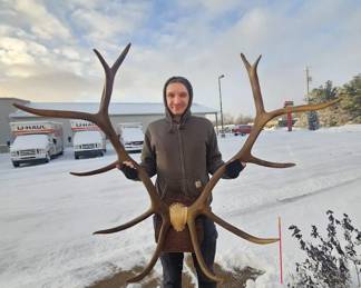 Huge Vintage Elk Rack - 4ft Wide - 45.25" Long Each - 12 point