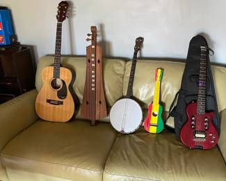 This is the year you start the traveling family band.