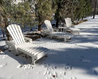 Adirondack Loungers , $100 each