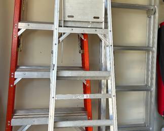 Extension and Step Ladders
