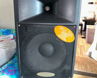 2  DLS  15P Speakers