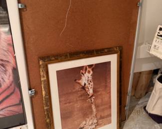 Framed giraffe picture