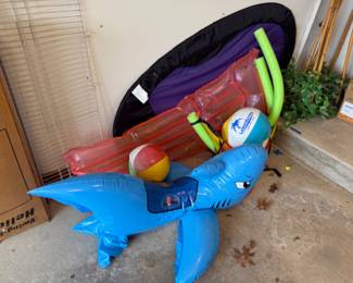 Pool toys
