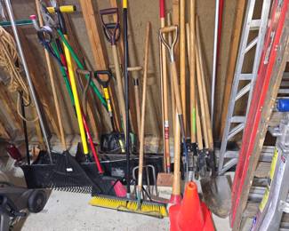 Lots of long handled yard tools including shovels