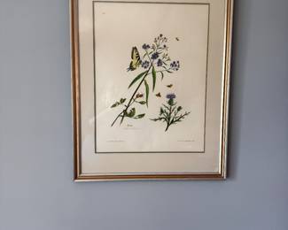 Butterfly on butterfly bush framed print. Perfect partner to previous print.