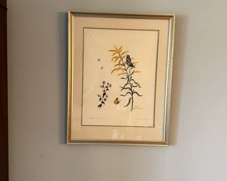 Lovely butterfly on goldenrod framed print. Has a matching partner shown in next picture