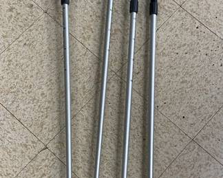 Lexi Walking/hiking sticks