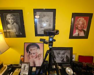 Marilyn Monroe portraits 