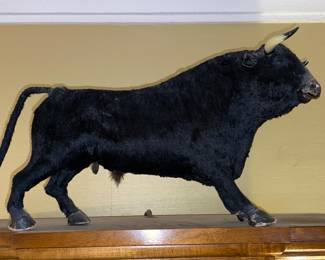Souvenir bull
