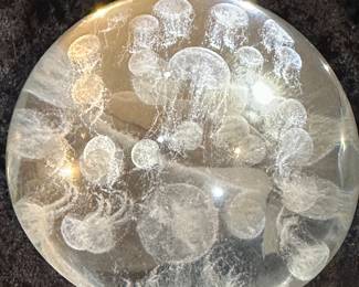 Sea Nettles Paper Weight