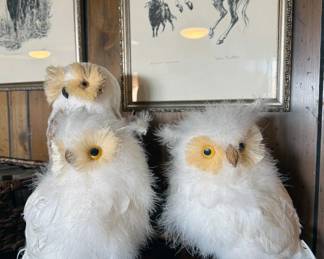 Owl decor