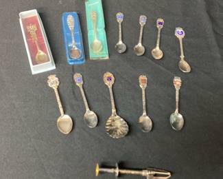 Silver Colored Spoon Collection Around The World