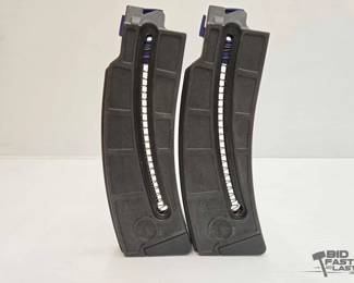 1140  2 Smith  Wesson .22lr 10rd Magazines