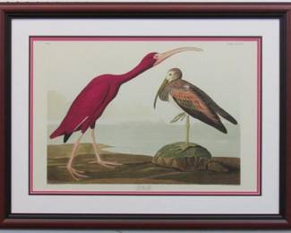 9002 - Scarlett Ibis Giclee by John J Audubon 27.5 X 23

