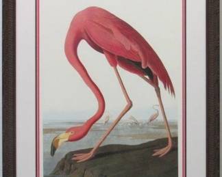 9007 - Pink Flamingo Giclee by John J Audubon 26.5 X 35
