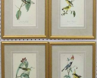 9009 - Set of 4 Antique Birds by John J Audubon 11.5 X 16
