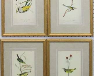 9010 - Set of 4 Antique Birds by John J Audubon 11.5 X 16

