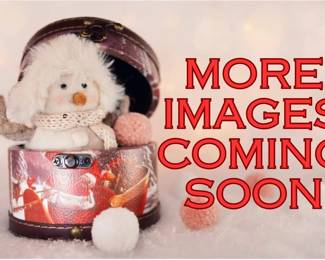 more images coming soon