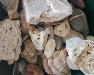 more rocks and fossils 