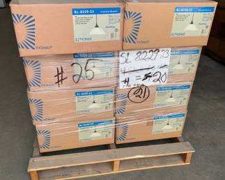 New in Box Lighting Orlando Estate Auction