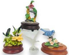 Goebel, Andrea By Sadek birds