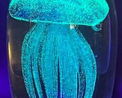 glow in the dark jellyfish