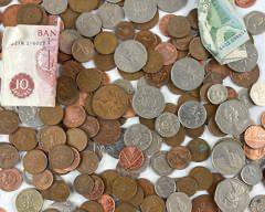 International Coin Lot