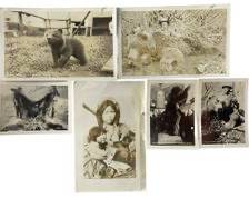 NATIVE AMEICAN POSTCARDS