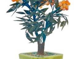 jade bonsai tree