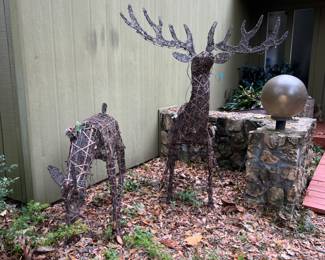 Reindeer lighted and move.