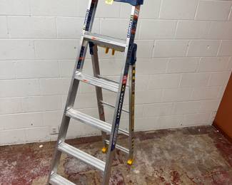 13' Aluminum Ladder