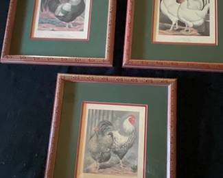 Three framed rooster decorative prints.